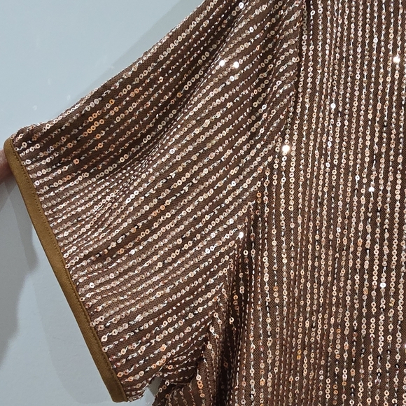Womens Blouse 3XL Plus Brown Gold Sequin Mesh Striped V-Neck Short Sleeve - Picture 3 of 6